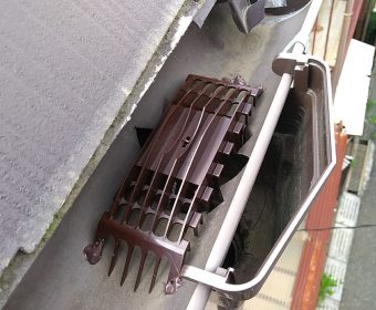 雨どいつまりを解消するオグラカップ